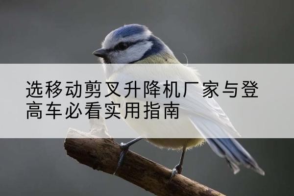 云冈电动升降机厂家-选移动剪叉升降机厂家与登高车必看实用指南