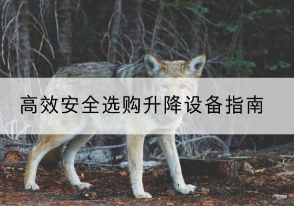 云冈升降货梯厂家推荐-*安全选购升降设备指南